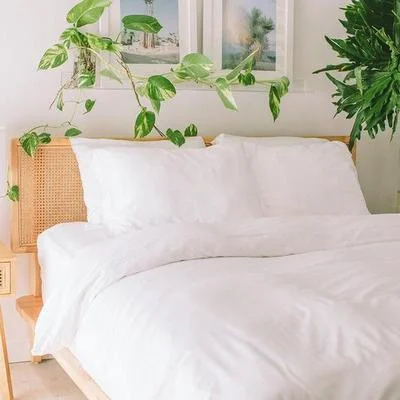 Cariloha Resort Bamboo Bed Sheet Set - Blue Lagoon - Queen