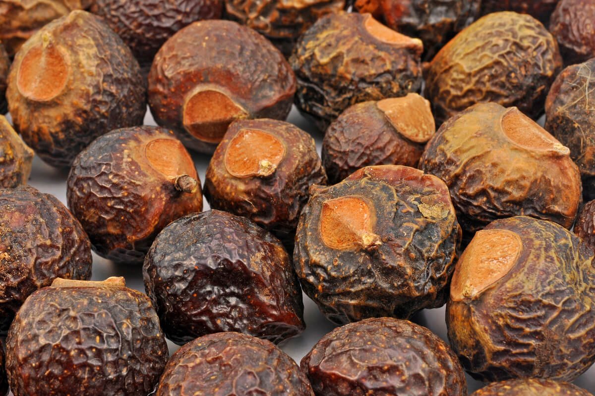 Simply The Best Soap Nuts Shampoo Recipes